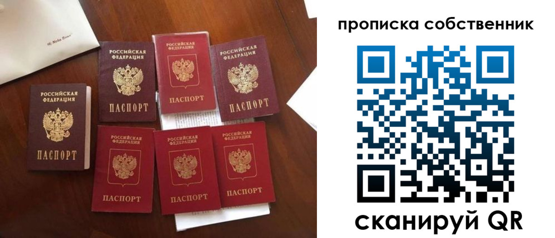 прописка для школы в Малой Вишере